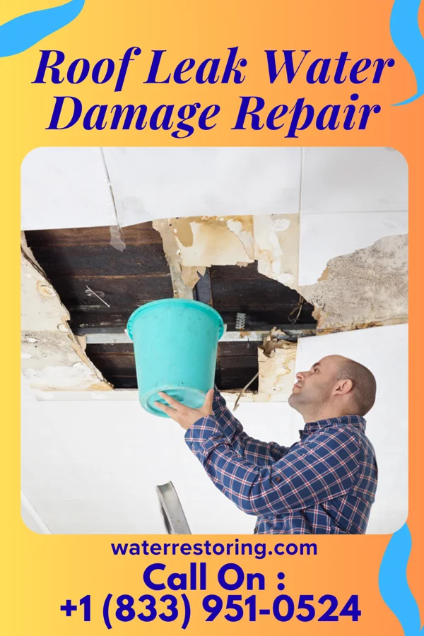 Roof Leak Water Damage Repair in Nelsonville, WI