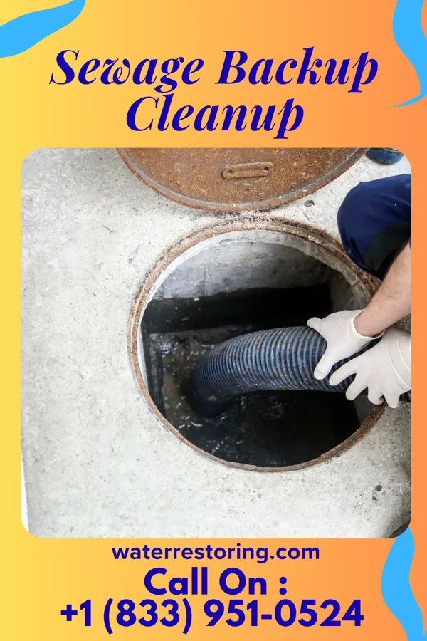 Sewage Backup Cleanup in Nelsonville, WI