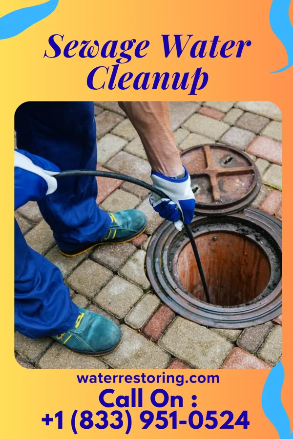 Sewage Water Cleanup in Nelsonville, WI