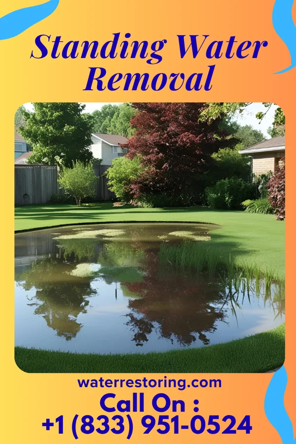 Standing Water Removal in Nelsonville, WI